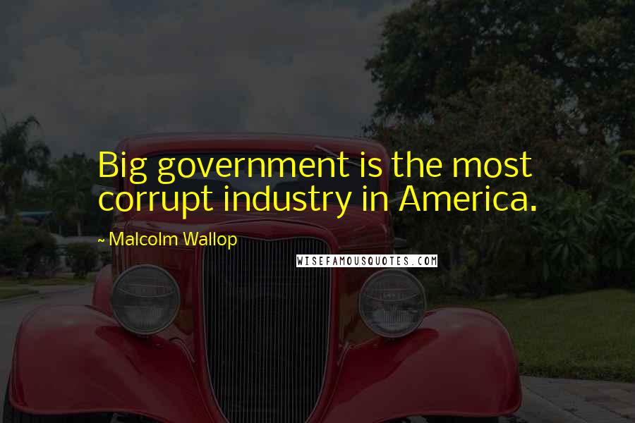 Malcolm Wallop Quotes: Big government is the most corrupt industry in America.