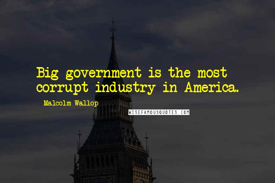 Malcolm Wallop Quotes: Big government is the most corrupt industry in America.