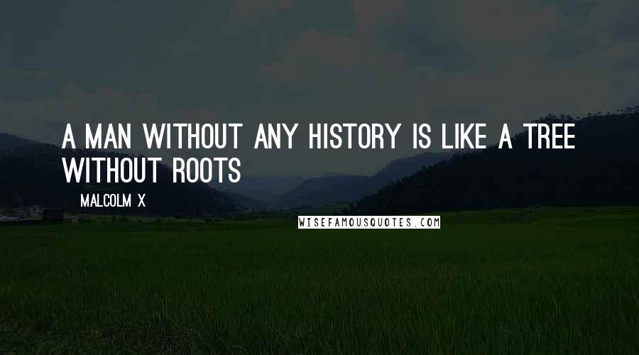 Malcolm X Quotes: A man without any history is like a tree without roots