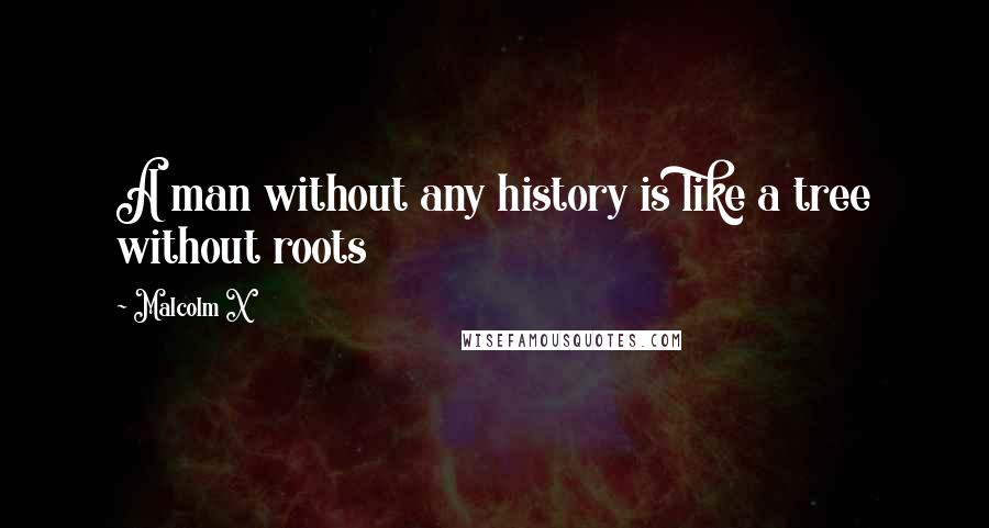 Malcolm X Quotes: A man without any history is like a tree without roots