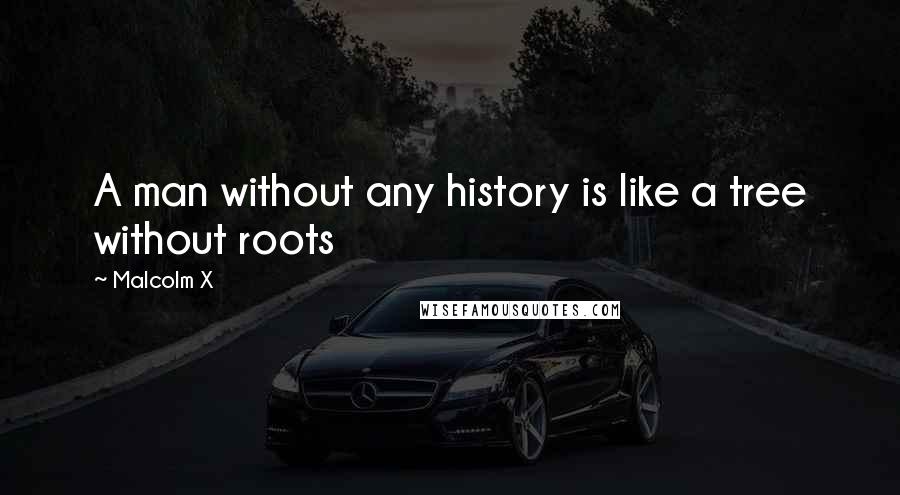 Malcolm X Quotes: A man without any history is like a tree without roots