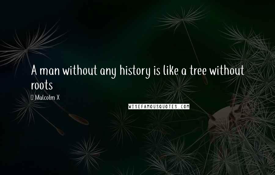 Malcolm X Quotes: A man without any history is like a tree without roots