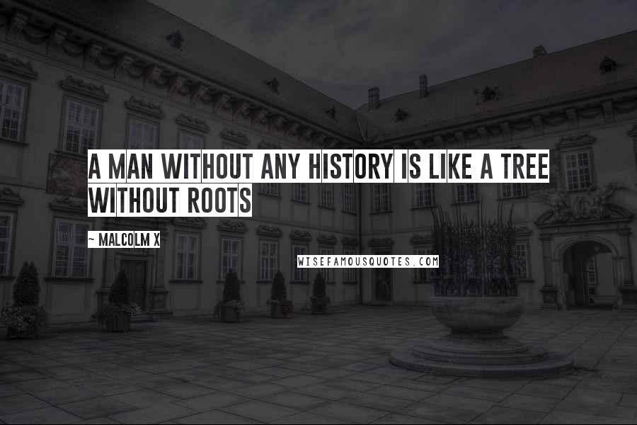 Malcolm X Quotes: A man without any history is like a tree without roots