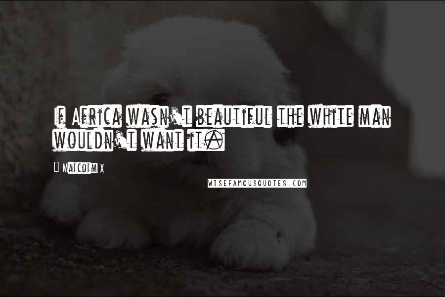 Malcolm X Quotes: If Africa wasn't beautiful the white man wouldn't want it.