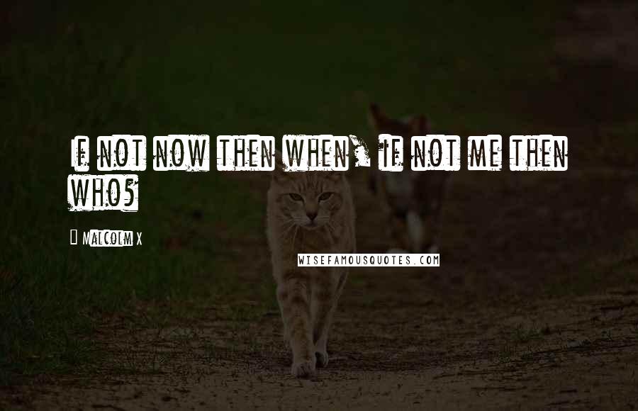 Malcolm X Quotes: If not now then when, if not me then who?