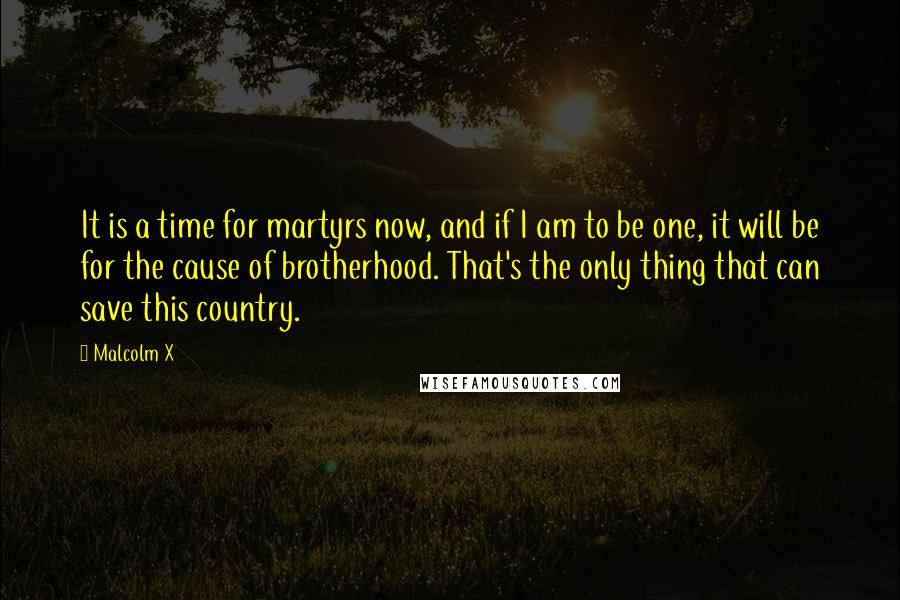 Malcolm X Quotes: It is a time for martyrs now, and if I am to be one, it will be for the cause of brotherhood. That's the only thing that can save this country.