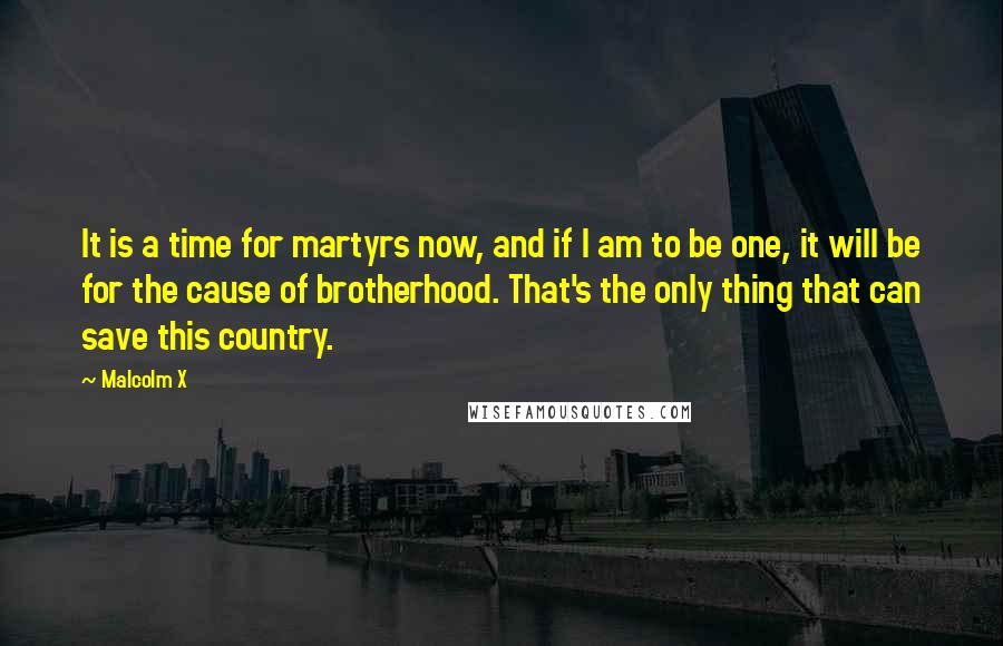 Malcolm X Quotes: It is a time for martyrs now, and if I am to be one, it will be for the cause of brotherhood. That's the only thing that can save this country.