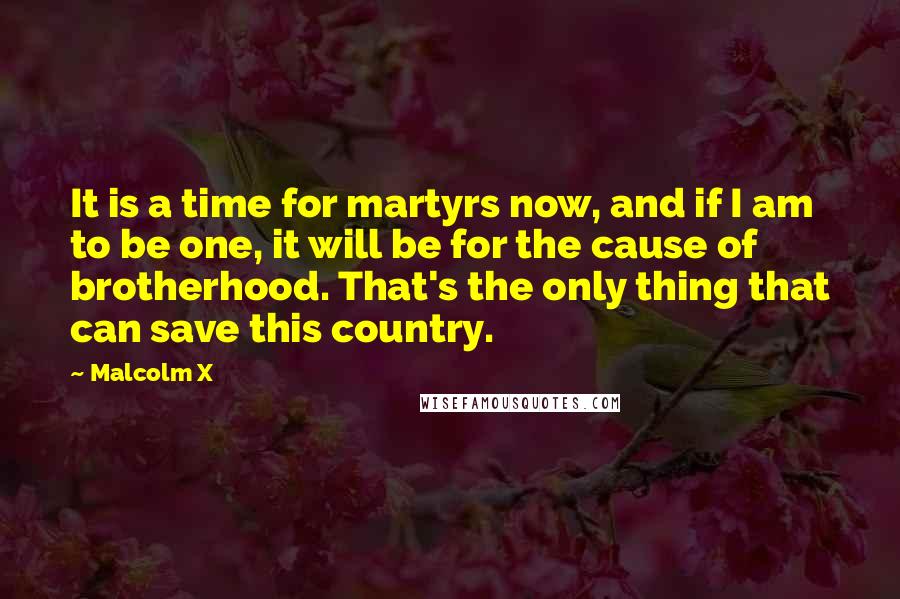 Malcolm X Quotes: It is a time for martyrs now, and if I am to be one, it will be for the cause of brotherhood. That's the only thing that can save this country.