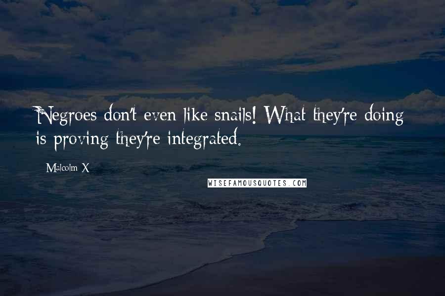 Malcolm X Quotes: Negroes don't even like snails! What they're doing is proving they're integrated.