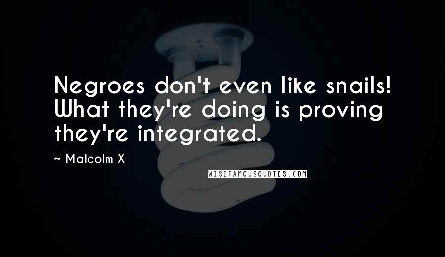 Malcolm X Quotes: Negroes don't even like snails! What they're doing is proving they're integrated.