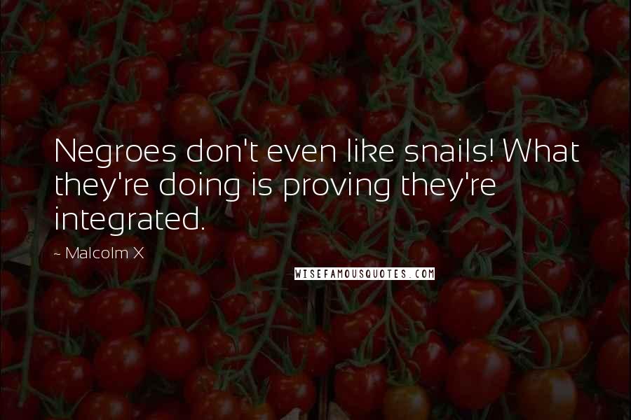Malcolm X Quotes: Negroes don't even like snails! What they're doing is proving they're integrated.