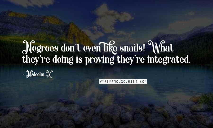 Malcolm X Quotes: Negroes don't even like snails! What they're doing is proving they're integrated.