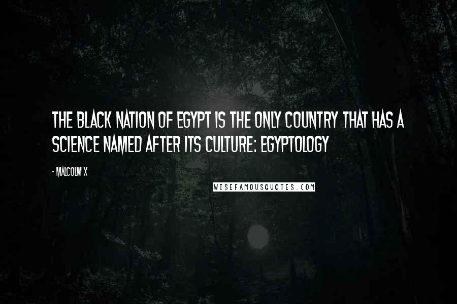 Malcolm X Quotes: The black nation of Egypt is the only country that has a science named after its culture: Egyptology
