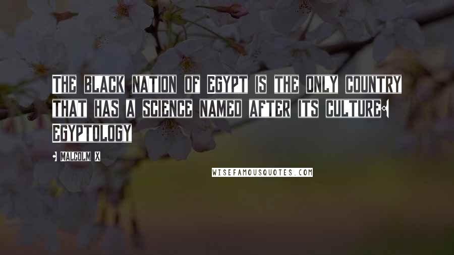 Malcolm X Quotes: The black nation of Egypt is the only country that has a science named after its culture: Egyptology
