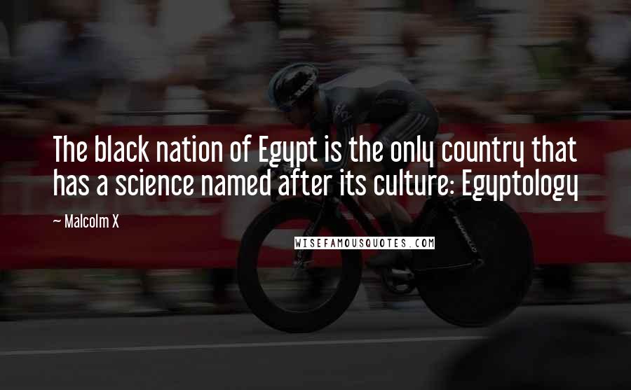 Malcolm X Quotes: The black nation of Egypt is the only country that has a science named after its culture: Egyptology