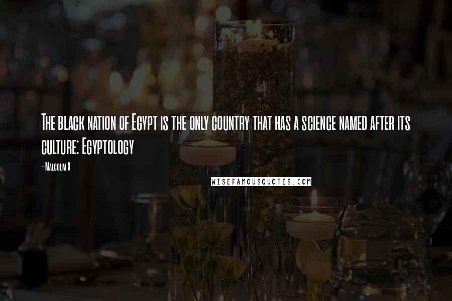 Malcolm X Quotes: The black nation of Egypt is the only country that has a science named after its culture: Egyptology