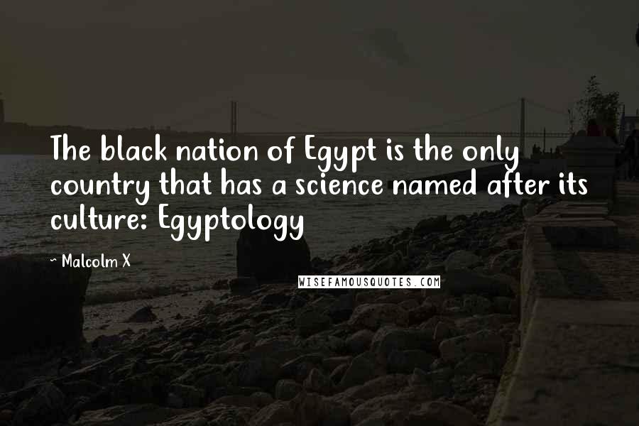 Malcolm X Quotes: The black nation of Egypt is the only country that has a science named after its culture: Egyptology