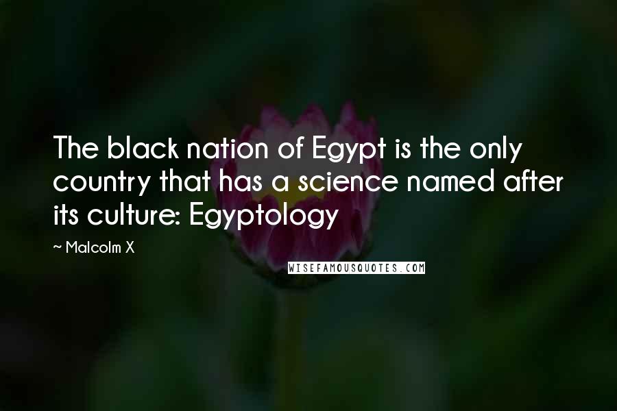 Malcolm X Quotes: The black nation of Egypt is the only country that has a science named after its culture: Egyptology