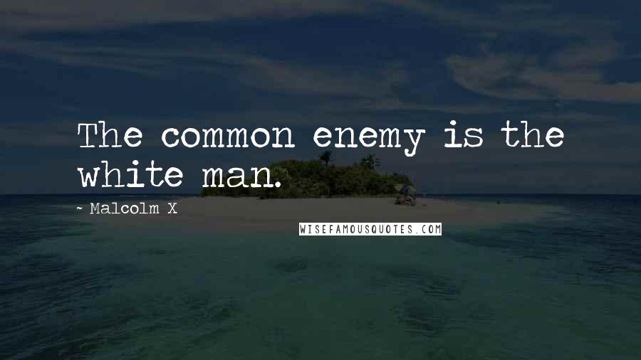 Malcolm X Quotes: The common enemy is the white man.