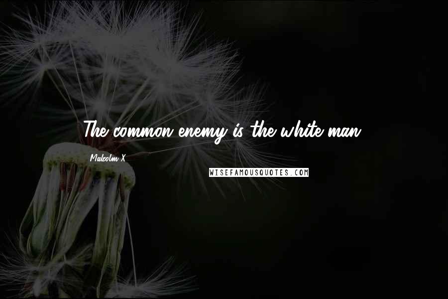 Malcolm X Quotes: The common enemy is the white man.