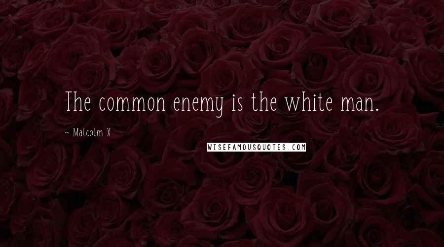 Malcolm X Quotes: The common enemy is the white man.