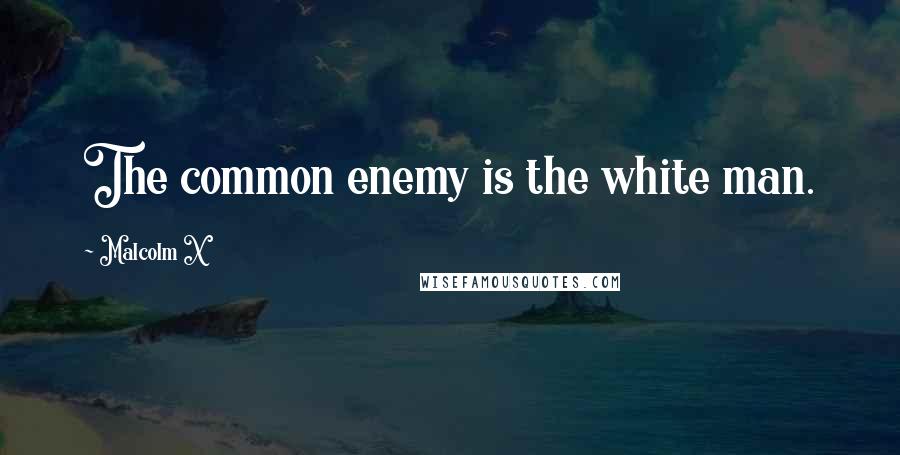 Malcolm X Quotes: The common enemy is the white man.