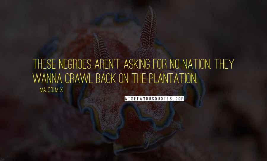 Malcolm X Quotes: These negroes aren't asking for no nation. They wanna crawl back on the plantation.