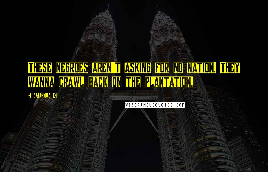 Malcolm X Quotes: These negroes aren't asking for no nation. They wanna crawl back on the plantation.