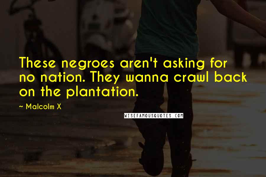 Malcolm X Quotes: These negroes aren't asking for no nation. They wanna crawl back on the plantation.