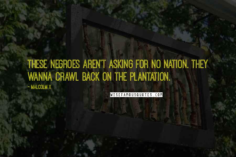 Malcolm X Quotes: These negroes aren't asking for no nation. They wanna crawl back on the plantation.