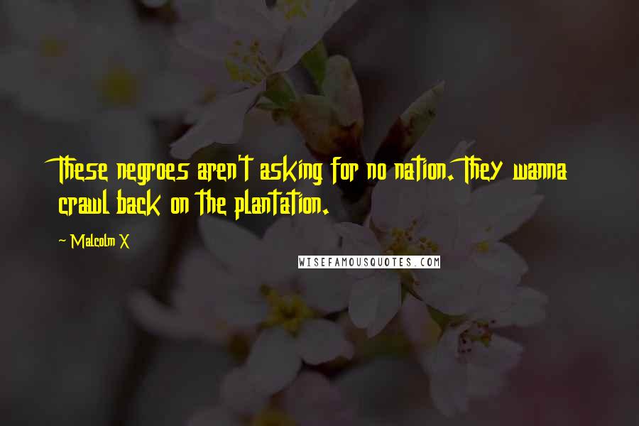Malcolm X Quotes: These negroes aren't asking for no nation. They wanna crawl back on the plantation.