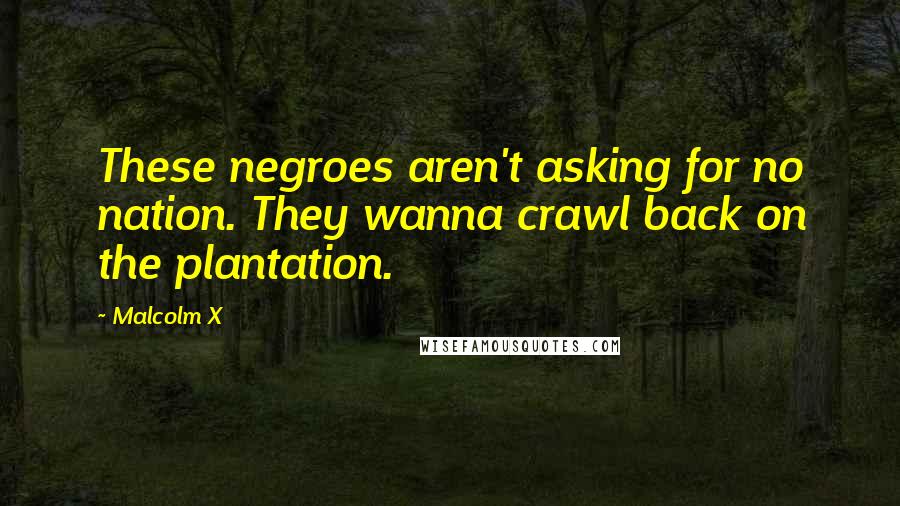 Malcolm X Quotes: These negroes aren't asking for no nation. They wanna crawl back on the plantation.