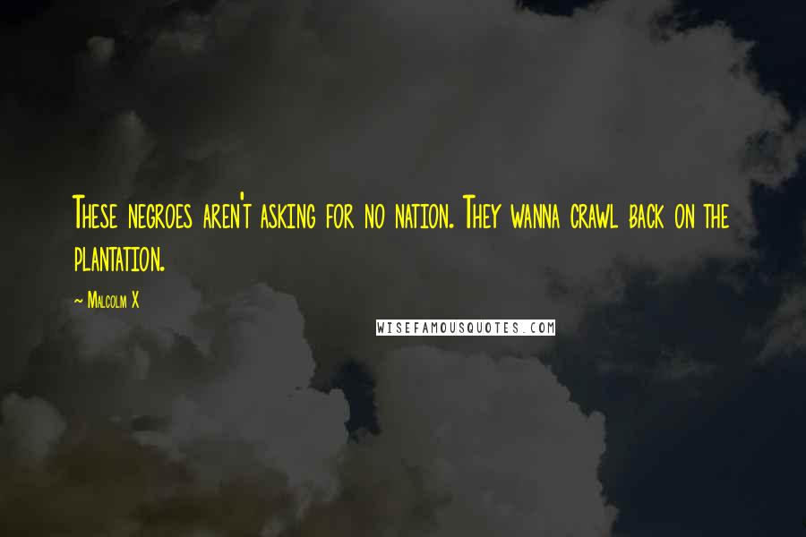 Malcolm X Quotes: These negroes aren't asking for no nation. They wanna crawl back on the plantation.