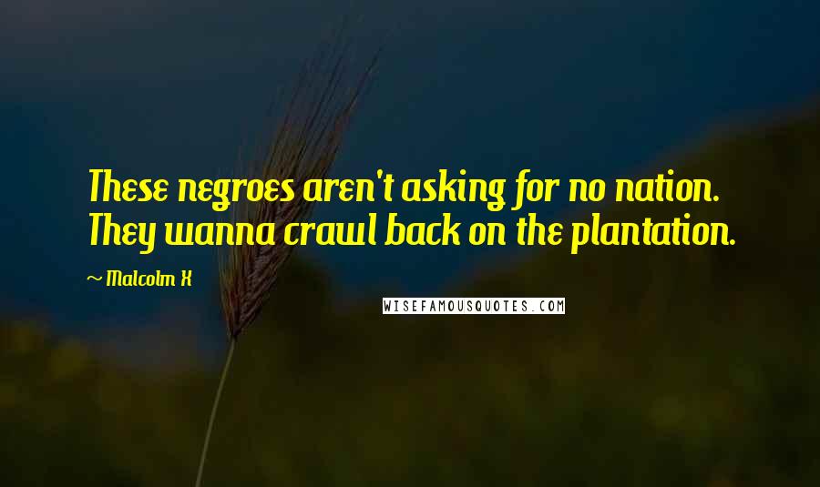 Malcolm X Quotes: These negroes aren't asking for no nation. They wanna crawl back on the plantation.