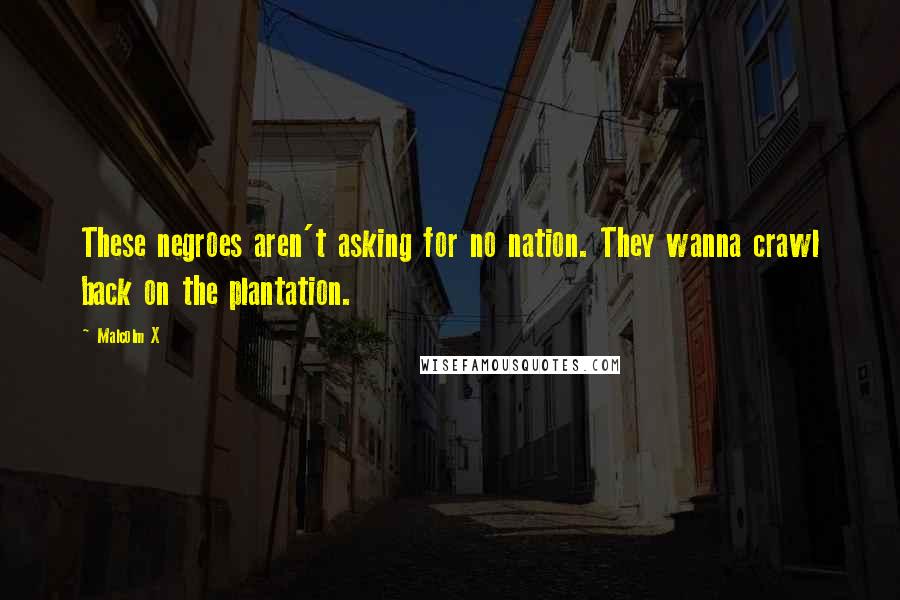 Malcolm X Quotes: These negroes aren't asking for no nation. They wanna crawl back on the plantation.