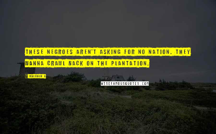 Malcolm X Quotes: These negroes aren't asking for no nation. They wanna crawl back on the plantation.