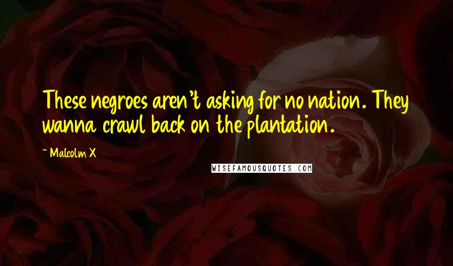 Malcolm X Quotes: These negroes aren't asking for no nation. They wanna crawl back on the plantation.