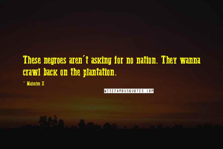 Malcolm X Quotes: These negroes aren't asking for no nation. They wanna crawl back on the plantation.