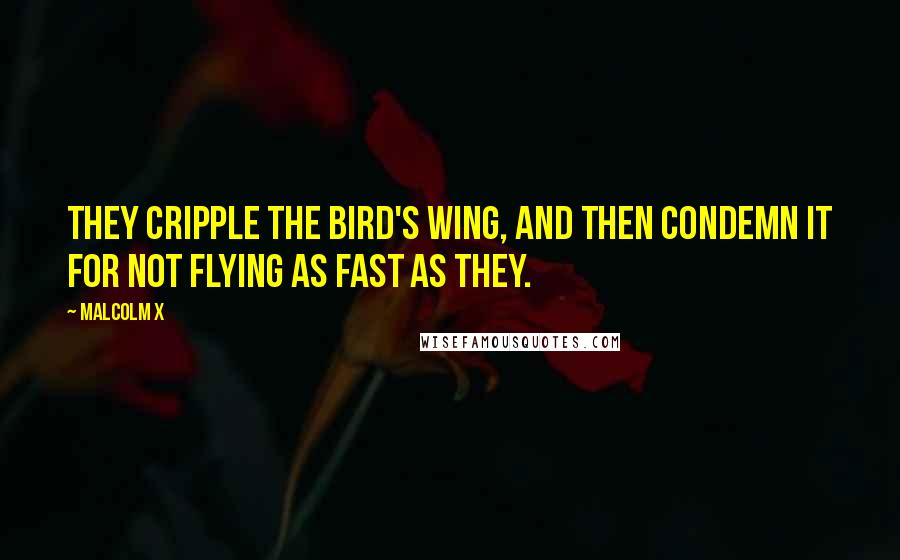 Malcolm X Quotes: They cripple the bird's wing, and then condemn it for not flying as fast as they.