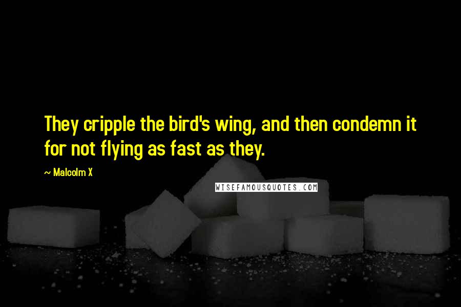 Malcolm X Quotes: They cripple the bird's wing, and then condemn it for not flying as fast as they.