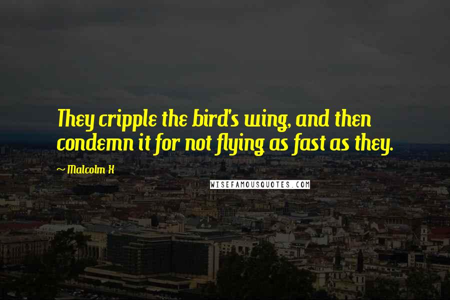 Malcolm X Quotes: They cripple the bird's wing, and then condemn it for not flying as fast as they.