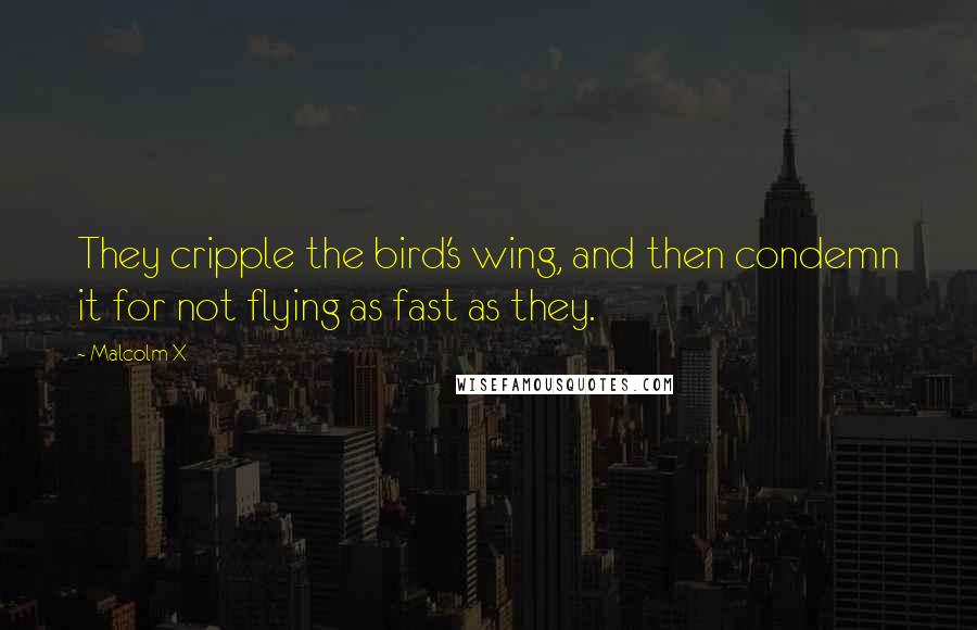 Malcolm X Quotes: They cripple the bird's wing, and then condemn it for not flying as fast as they.