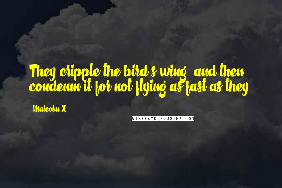 Malcolm X Quotes: They cripple the bird's wing, and then condemn it for not flying as fast as they.