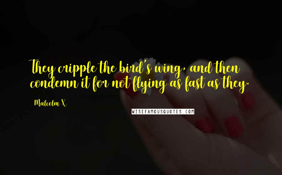 Malcolm X Quotes: They cripple the bird's wing, and then condemn it for not flying as fast as they.
