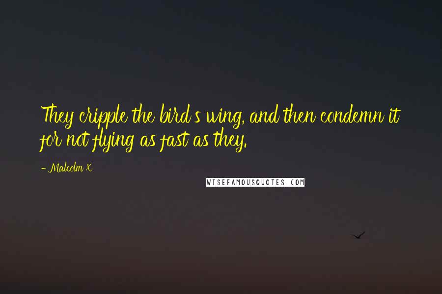 Malcolm X Quotes: They cripple the bird's wing, and then condemn it for not flying as fast as they.