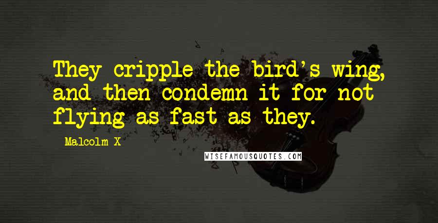 Malcolm X Quotes: They cripple the bird's wing, and then condemn it for not flying as fast as they.