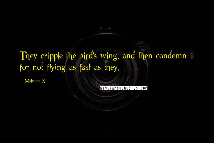 Malcolm X Quotes: They cripple the bird's wing, and then condemn it for not flying as fast as they.