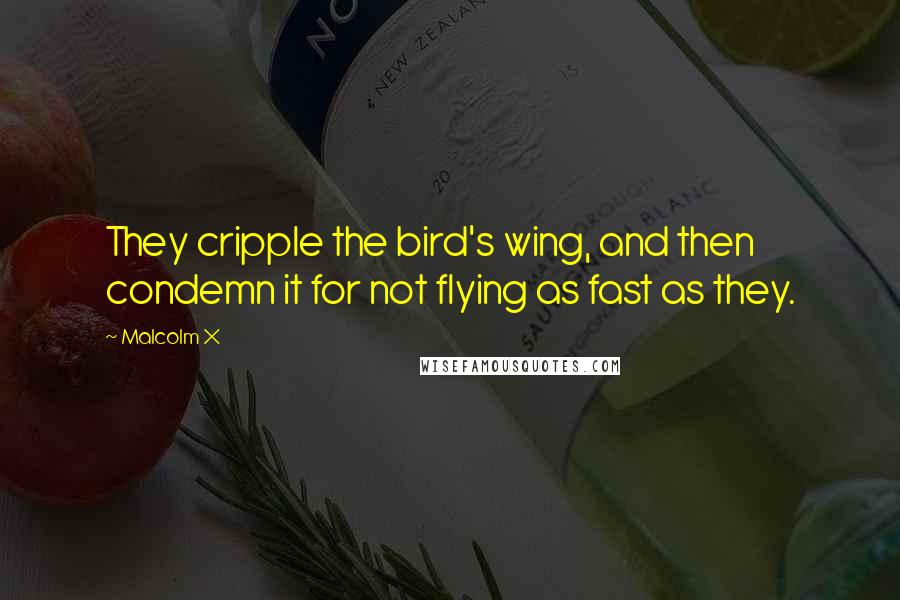 Malcolm X Quotes: They cripple the bird's wing, and then condemn it for not flying as fast as they.