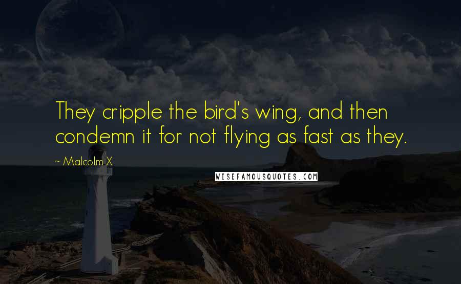 Malcolm X Quotes: They cripple the bird's wing, and then condemn it for not flying as fast as they.