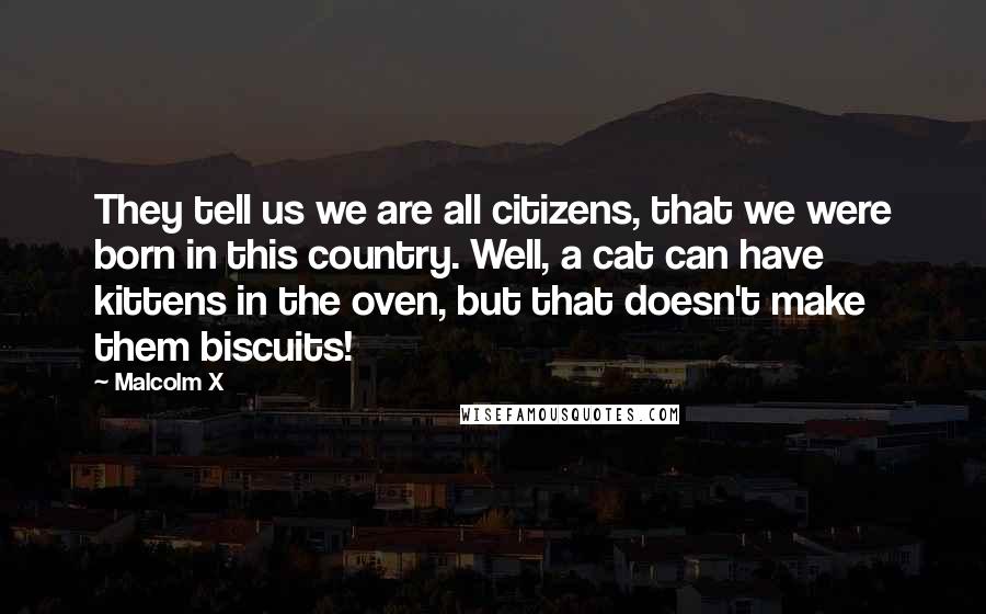 Malcolm X Quotes: They tell us we are all citizens, that we were born in this country. Well, a cat can have kittens in the oven, but that doesn't make them biscuits!